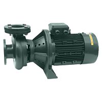 Насос без префильтра чугунный  38м3/ч PSH DN-14 H=10 1,5кВт 400В (1DN30200E4V) Насос без префильтра чугунный  38м3/ч PSH DN-14 H=10 1,5кВт 400В (1DN30200E4V)