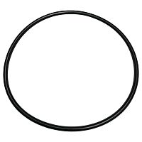 Резиновое уплотнение крышки корпуса насоса Laswim (фильтроблок) (01-15)